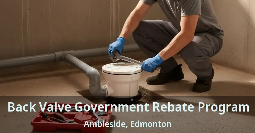Back Valve Government Rebate Program Ambleside, Edmonton - AB