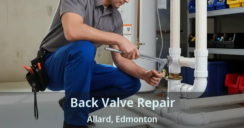 Back Valve Repair Allard, Edmonton - AB