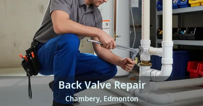 Back Valve Repair Chambery, Edmonton - AB