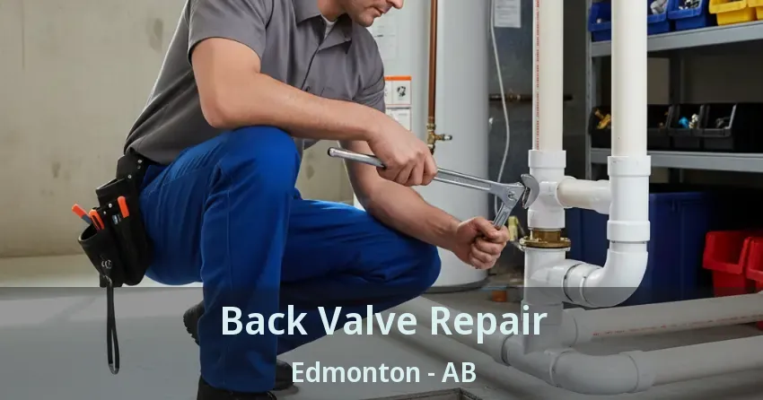 Back Valve Repair Edmonton - AB