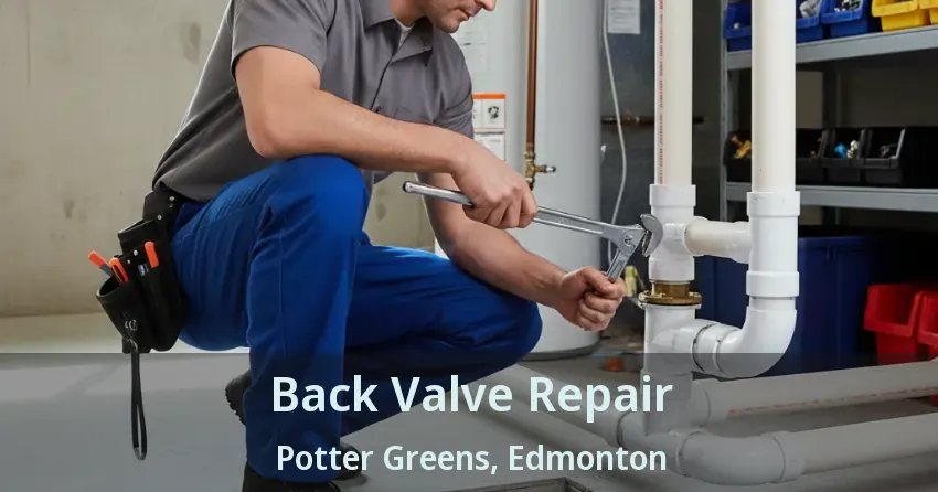 Back Valve Repair Potter Greens, Edmonton - AB