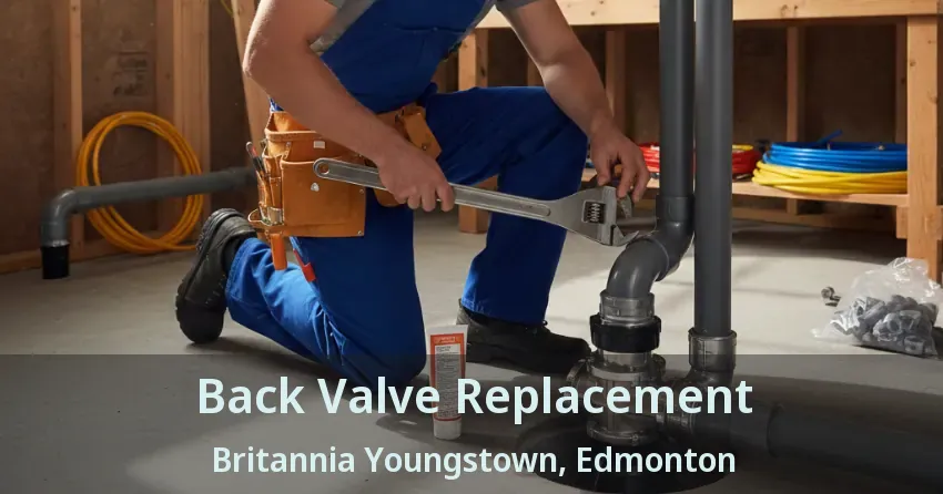 Back Valve Replacement Britannia Youngstown, Edmonton - AB