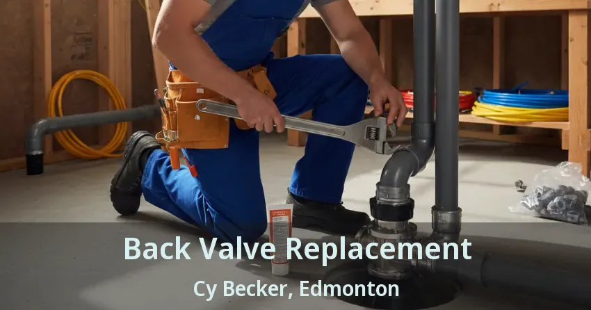 Back Valve Replacement Cy Becker, Edmonton - AB