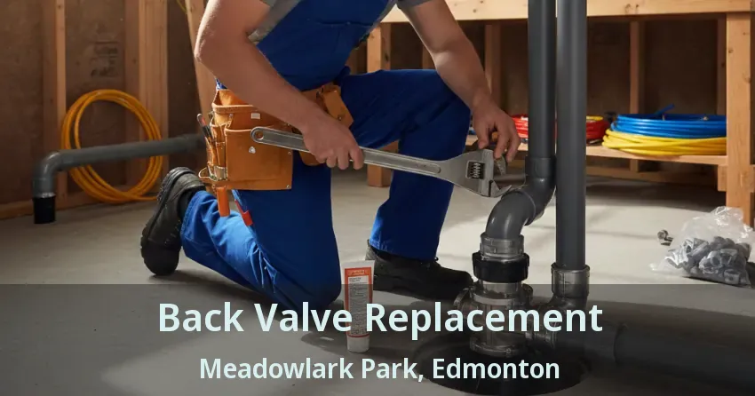 Back Valve Replacement Meadowlark Park, Edmonton - AB