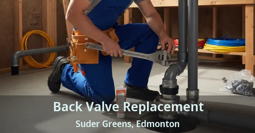 Back Valve Replacement Suder Greens, Edmonton - AB