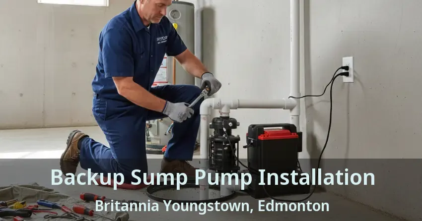 Backup Sump Pump Installation Britannia Youngstown, Edmonton - AB