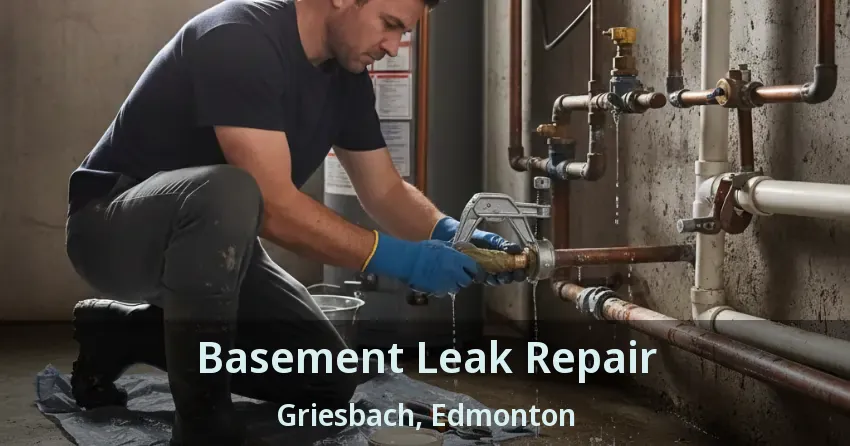 Basement Leak Repair Griesbach, Edmonton - AB