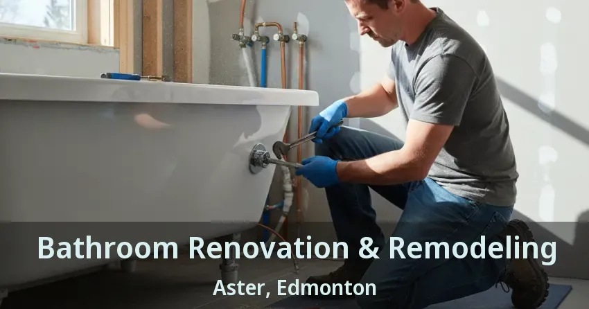 Bathroom Renovation & Remodeling Aster, Edmonton - AB