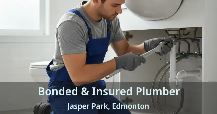 Bonded & Insured Plumber Jasper Park, Edmonton - AB