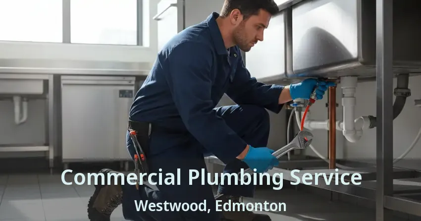 Commercial Plumbing Service Westwood, Edmonton - AB