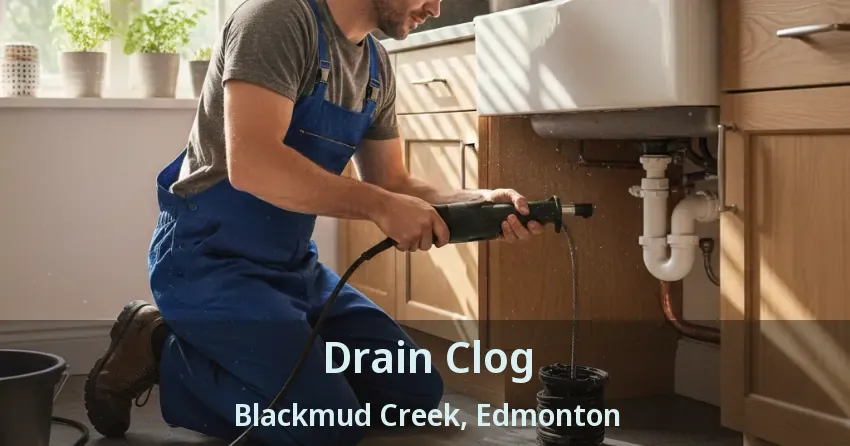 Drain Clog Blackmud Creek, Edmonton - AB