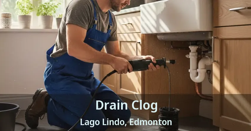 Drain Clog Lago Lindo, Edmonton - AB