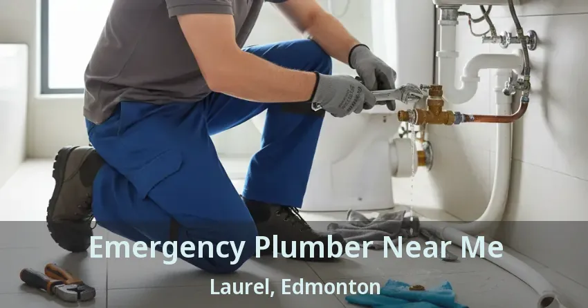 Emergency Plumber Near Me Laurel, Edmonton - AB