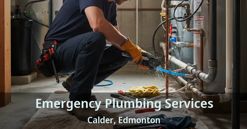 Emergency Plumbing Services Calder, Edmonton - AB