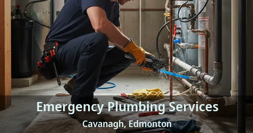 Emergency Plumbing Services Cavanagh, Edmonton - AB