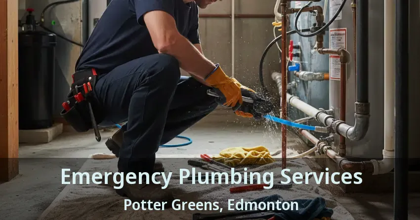 Emergency Plumbing Services Potter Greens, Edmonton - AB