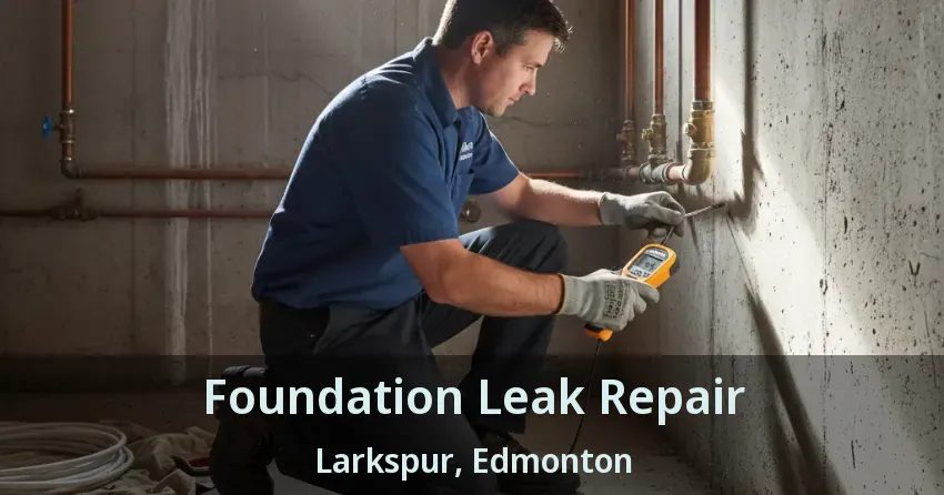 Foundation Leak Repair Larkspur, Edmonton - AB