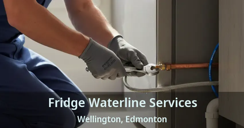 Fridge Waterline Services Wellington, Edmonton - AB