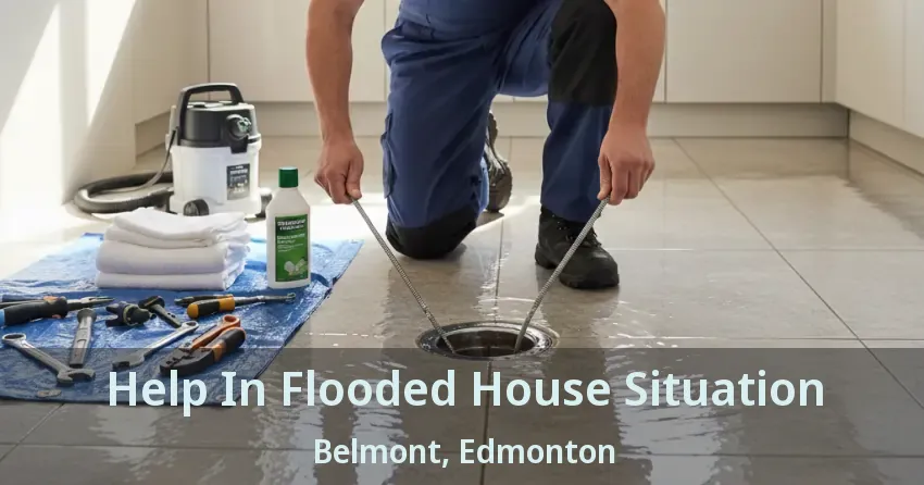 Help In Flooded House Situation Belmont, Edmonton - AB