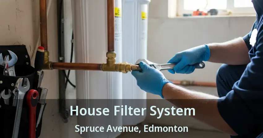 House Filter System Spruce Avenue, Edmonton - AB