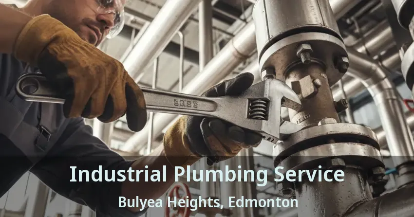Industrial Plumbing Service Bulyea Heights, Edmonton - AB