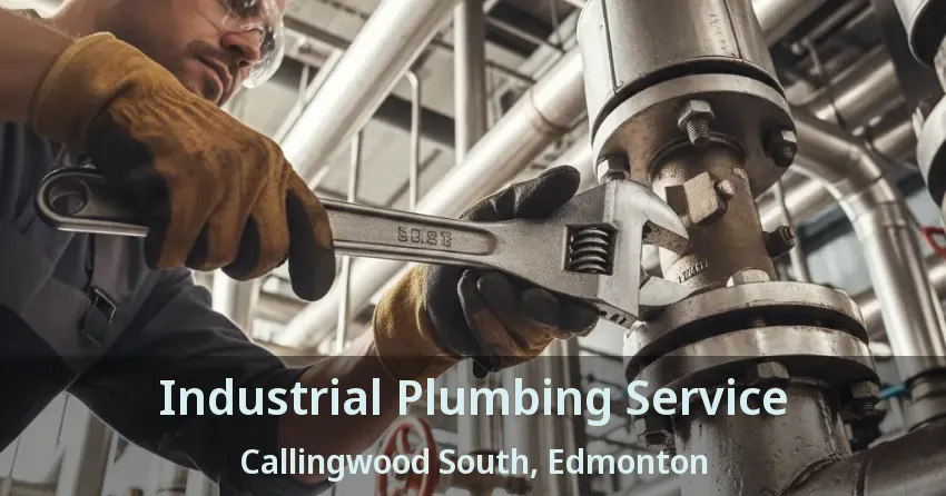 Industrial Plumbing Service Callingwood South, Edmonton - AB