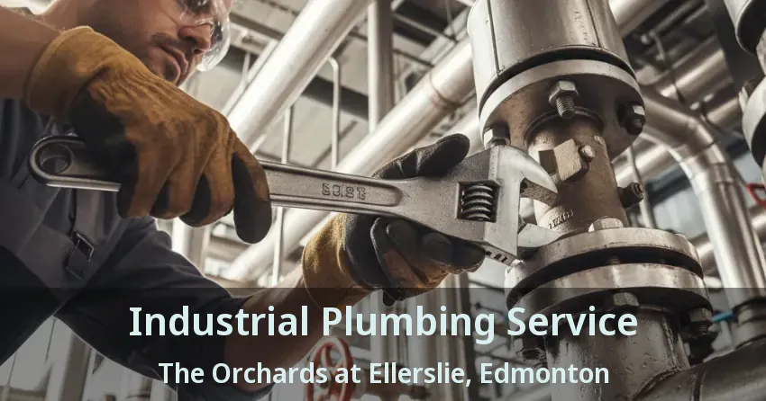 Industrial Plumbing Service The Orchards at Ellerslie, Edmonton - AB