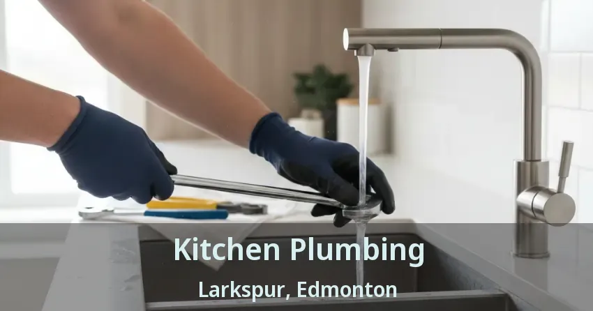 Kitchen Plumbing Larkspur, Edmonton - AB