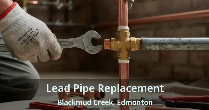 Lead Pipe Replacement Blackmud Creek, Edmonton - AB