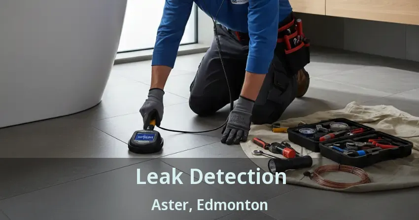Leak Detection Aster, Edmonton - AB