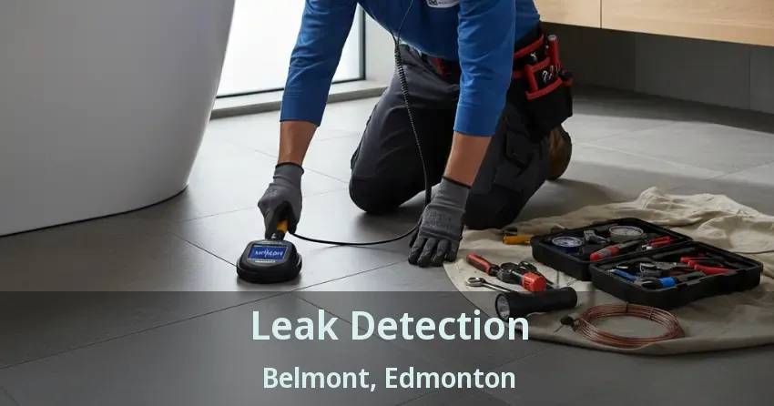 Leak Detection Belmont, Edmonton - AB