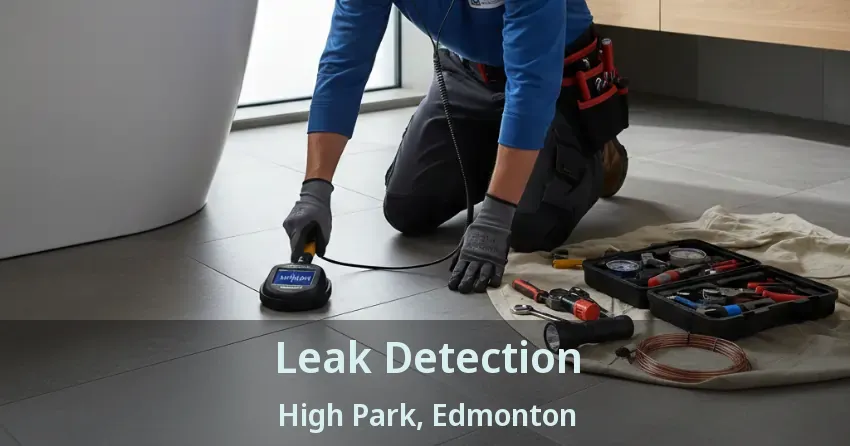 Leak Detection High Park, Edmonton - AB