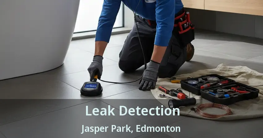 Leak Detection Jasper Park, Edmonton - AB