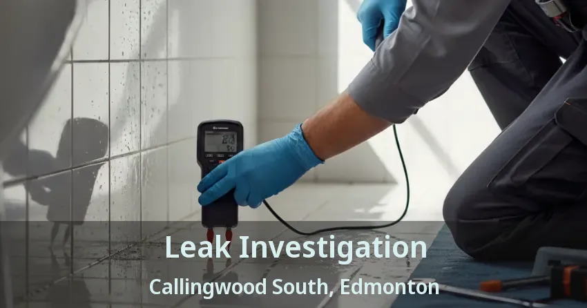 Leak Investigation Callingwood South, Edmonton - AB