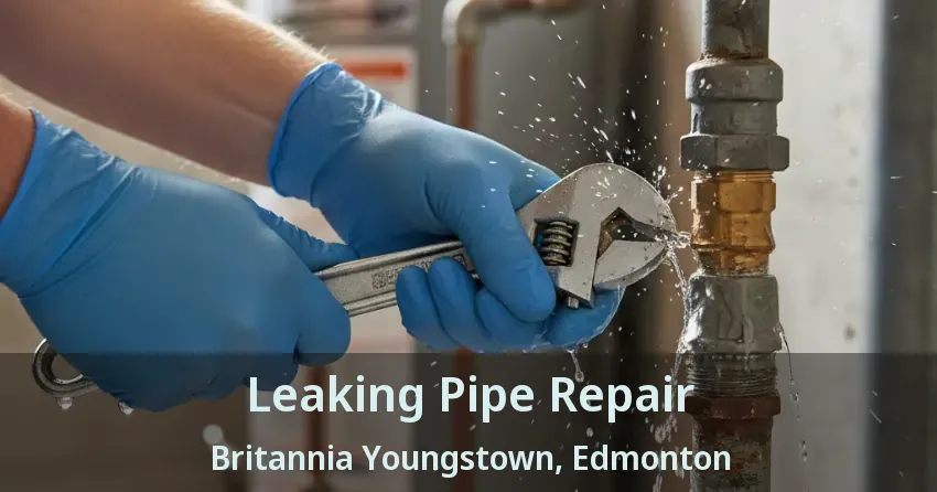 Leaking Pipe Repair Britannia Youngstown, Edmonton - AB
