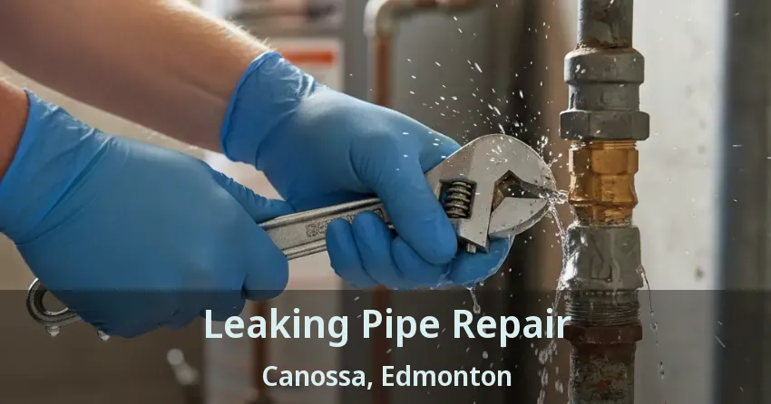 Leaking Pipe Repair Canossa, Edmonton - AB