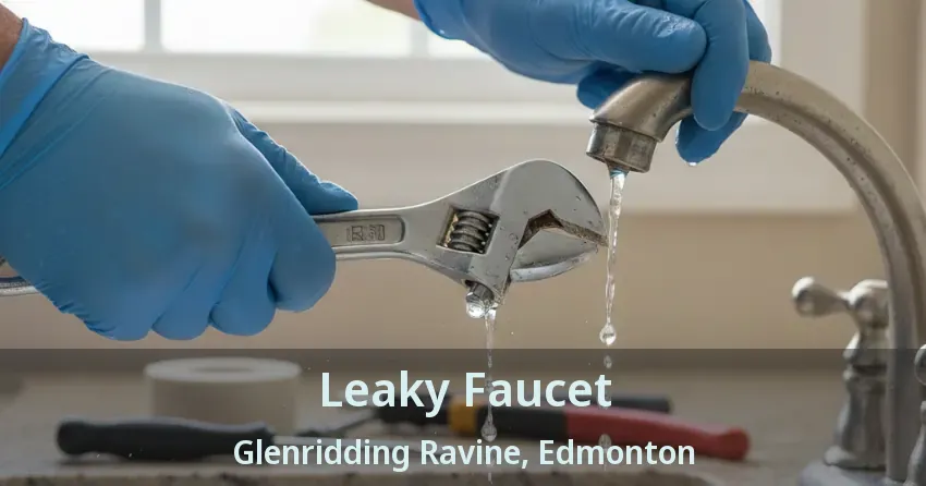 Leaky Faucet Glenridding Ravine, Edmonton - AB