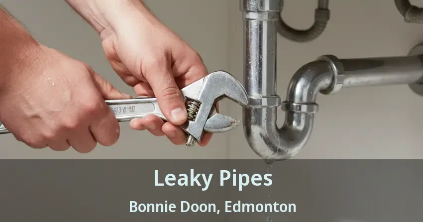 Leaky Pipes Bonnie Doon, Edmonton - AB