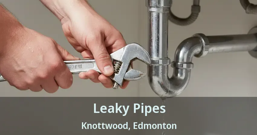 Leaky Pipes Knottwood, Edmonton - AB