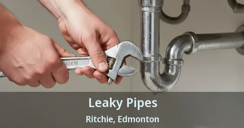 Leaky Pipes Ritchie, Edmonton - AB