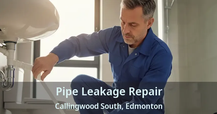 Pipe Leakage Repair Callingwood South, Edmonton - AB