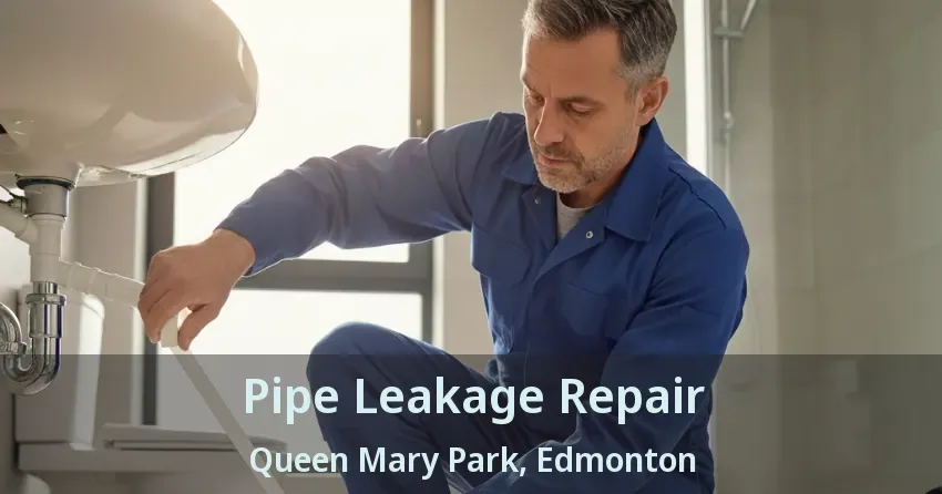 Pipe Leakage Repair Queen Mary Park, Edmonton - AB
