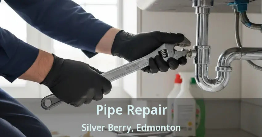 Pipe Repair Silver Berry, Edmonton - AB