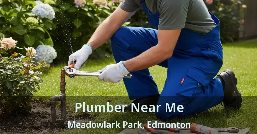 Plumber Near Me Meadowlark Park, Edmonton - AB