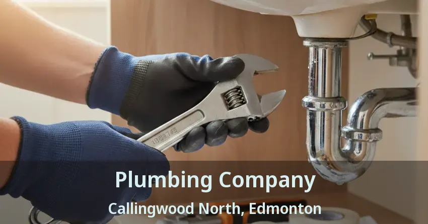 Plumbing Company Callingwood North, Edmonton - AB