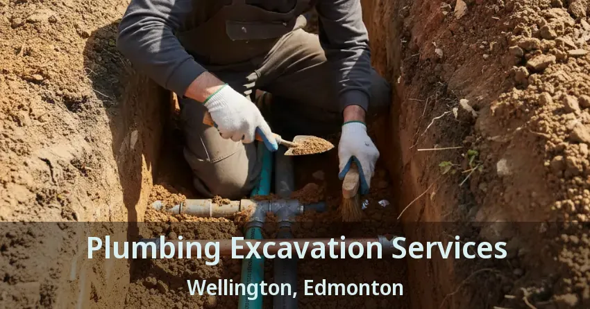 Plumbing Excavation Services Wellington, Edmonton - AB