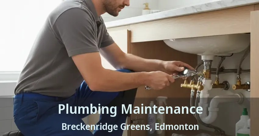 Plumbing Maintenance Breckenridge Greens, Edmonton - AB