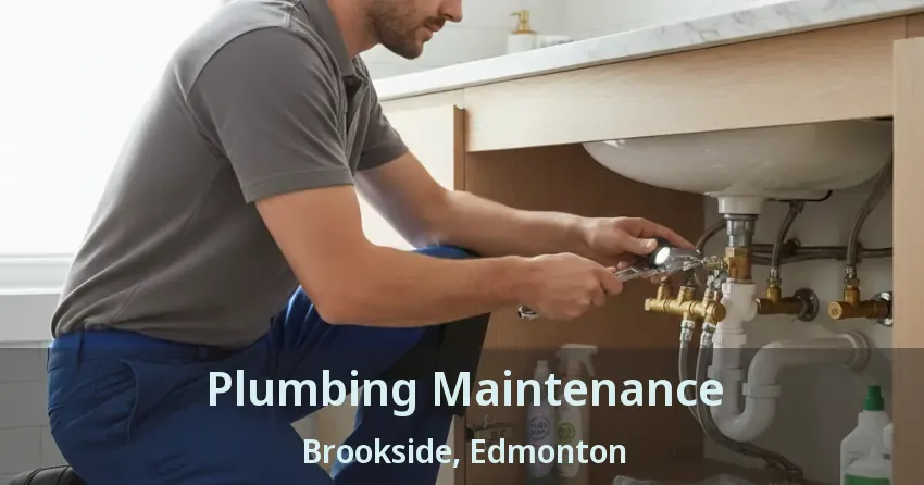Plumbing Maintenance Brookside, Edmonton - AB