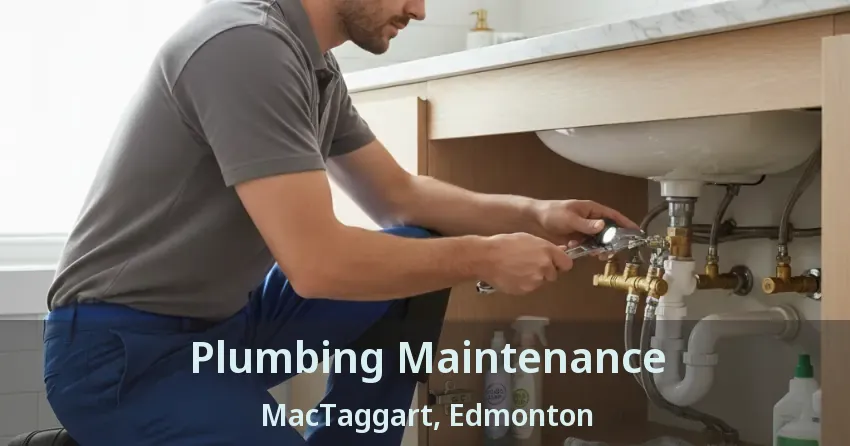 Plumbing Maintenance MacTaggart, Edmonton - AB