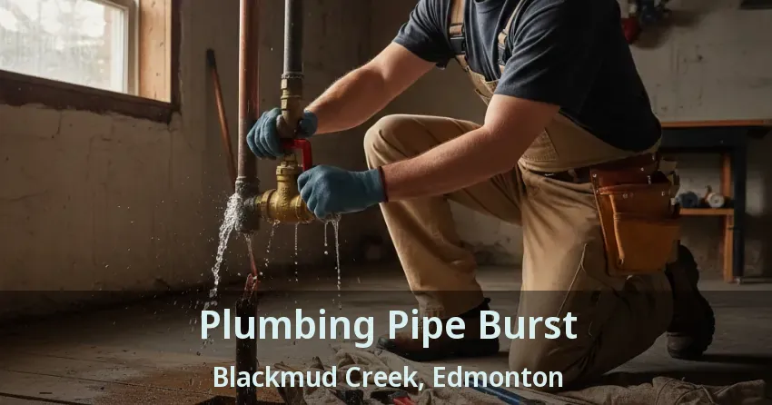 Plumbing Pipe Burst Blackmud Creek, Edmonton - AB